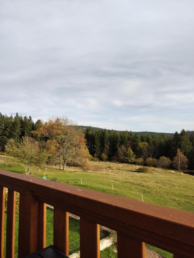 Chambre D'Hotes Les Brimbelles Gérardmer Екстериор снимка